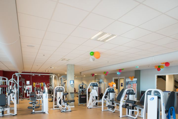 Fitland-002.jpg