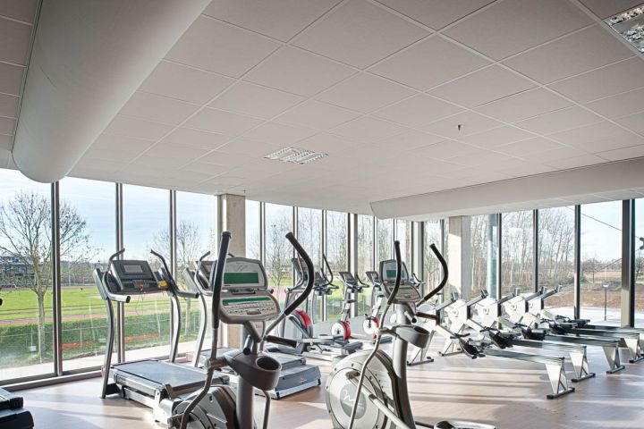 Fitland-003.jpg